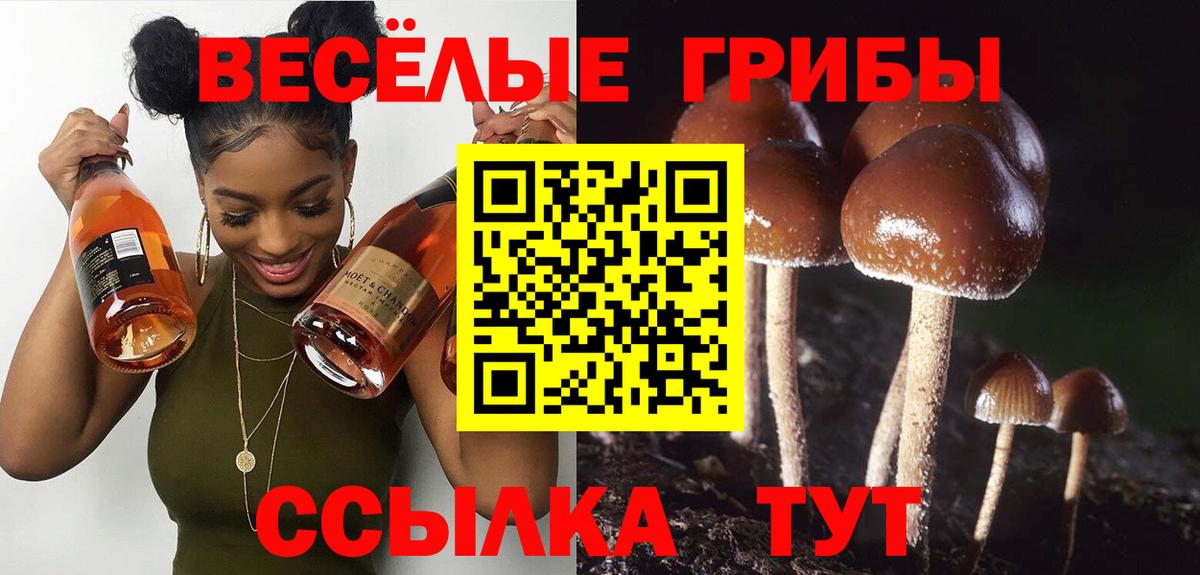 Галлюциногенные грибы мухоморы  Вход с VPN  Димитровград 